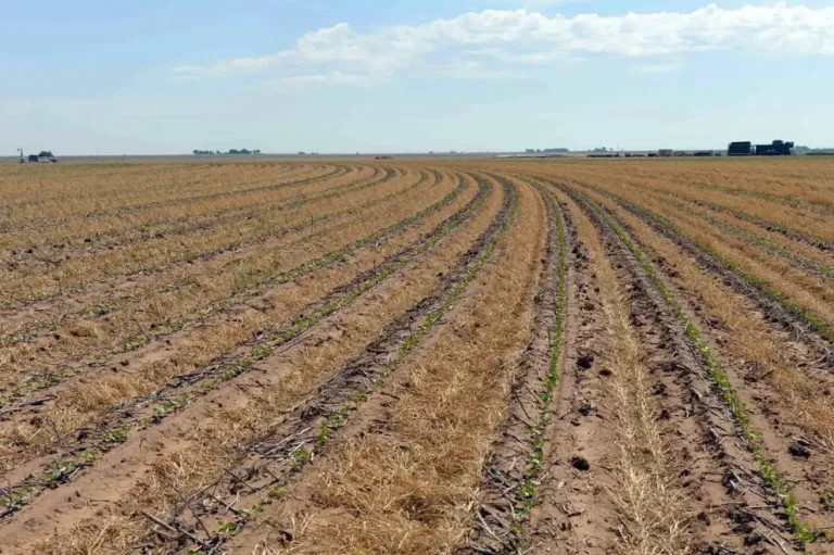 Senate farm bill on track for passage