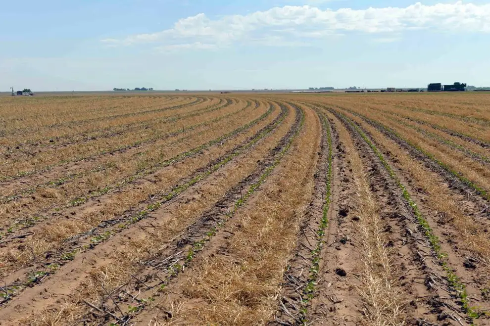 Tying the farm bill to the budget reconciliation bill