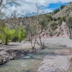 Gila National Forest