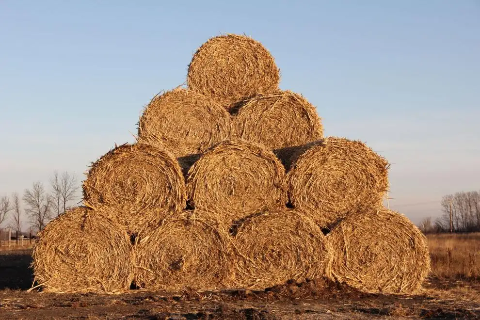 Assess forage requirements after wet conditions