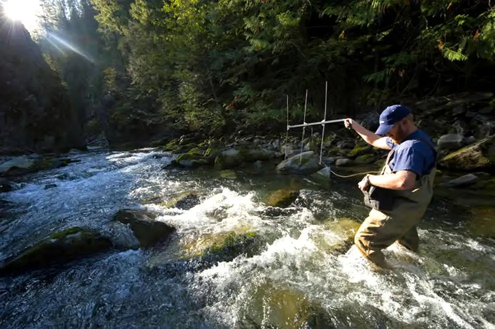 Bull trout lawsuit favors cattlemen