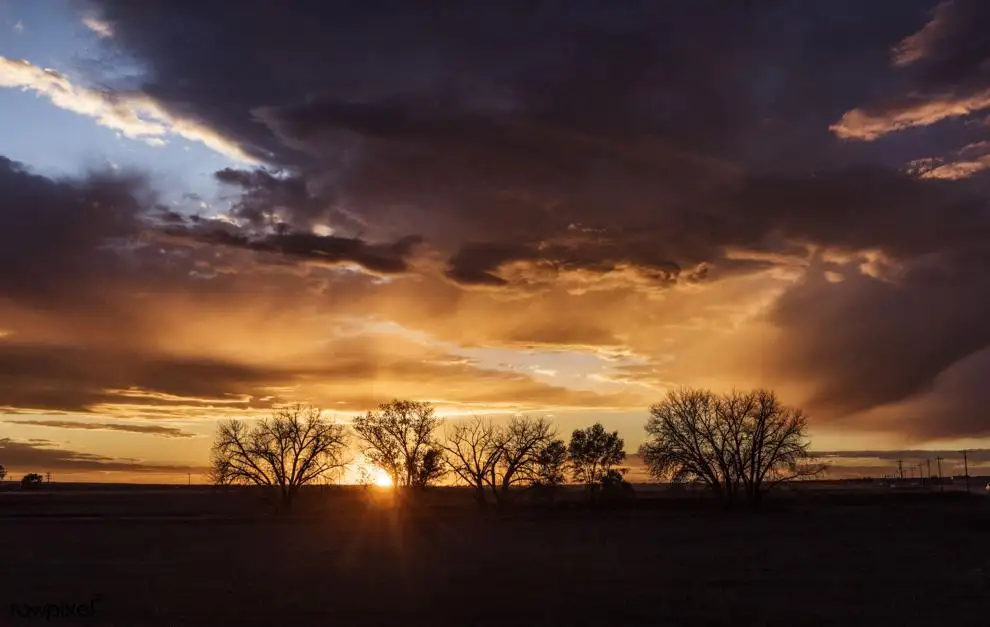 Sedgwick County