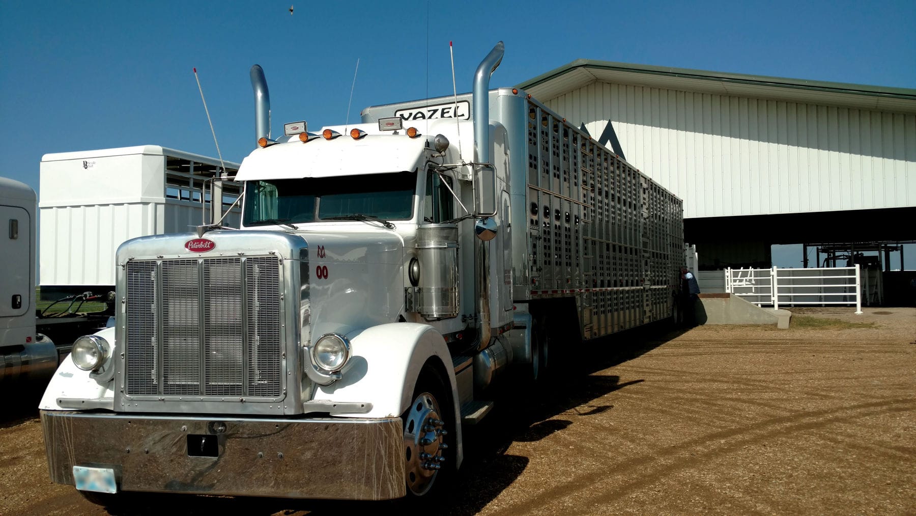 Helping first responders train for crashes involving livestock