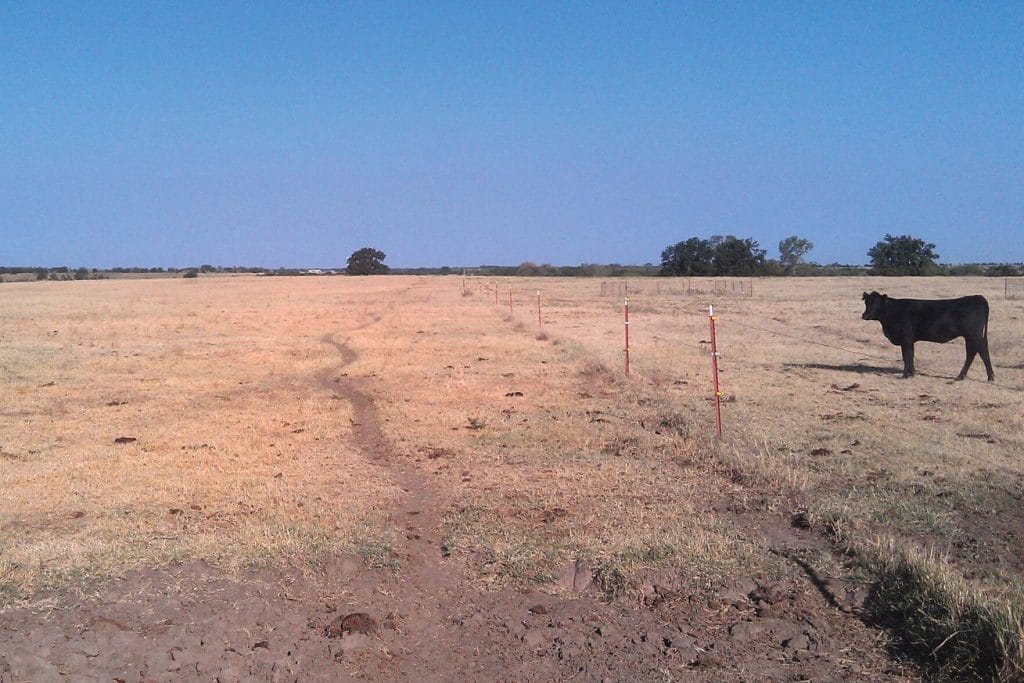 Guest Opinion: Silver linings and optimism during dry weather