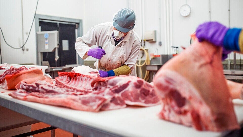 Story Short: Funding community college ag programs