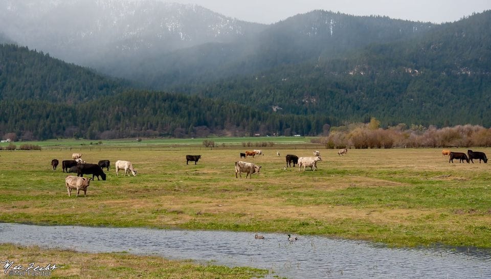 CA water board readopts drought flows for Siskiyou
