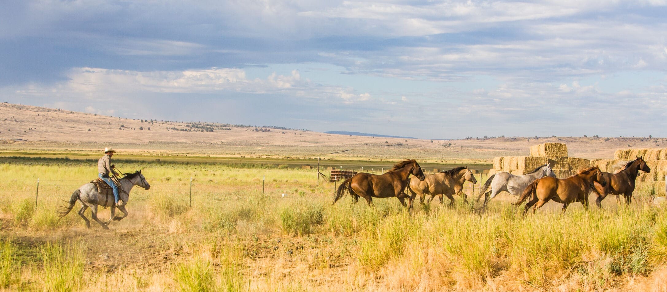 The market for ranches across the Northwest