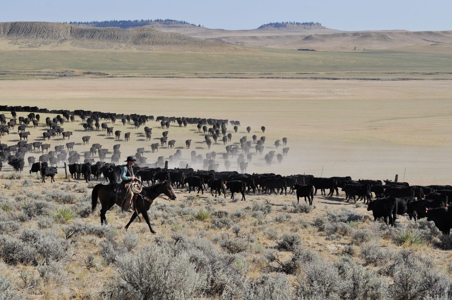 Legal Ledger: Checkoff bills receive mixed support