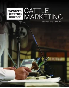 Cattle Marketing – 2024 cover, May 13, 2024
