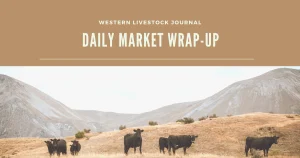 Market Wrap-Up: Friday, Aug. 14