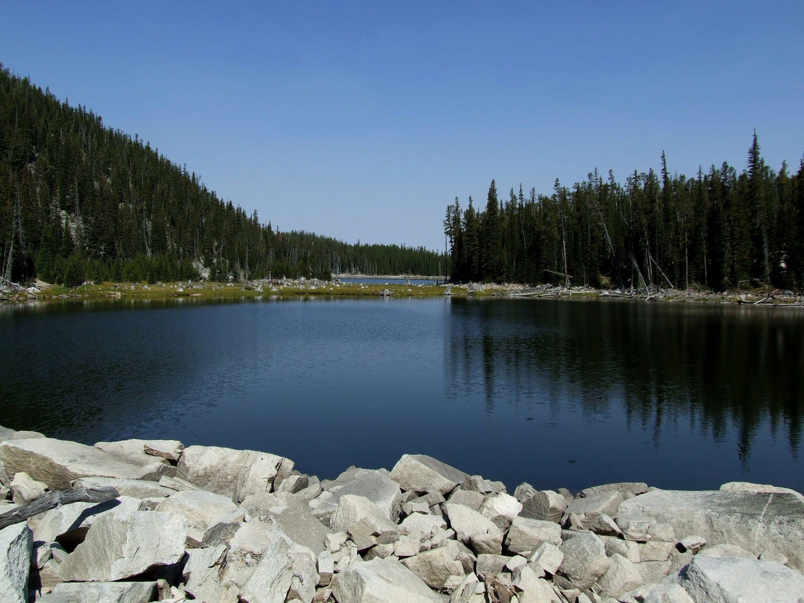 BLM acquires land in Upper Gold Creek  