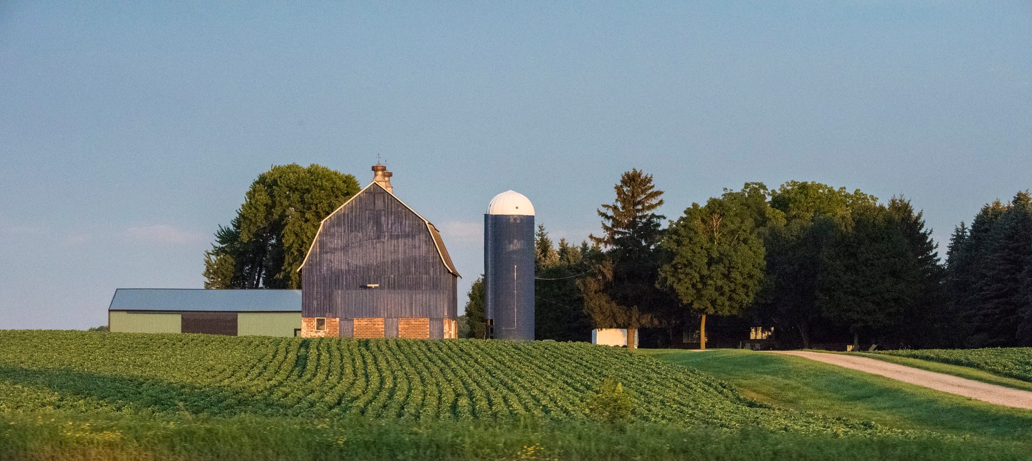 Bank of North Dakota developing loan program to aid farmers