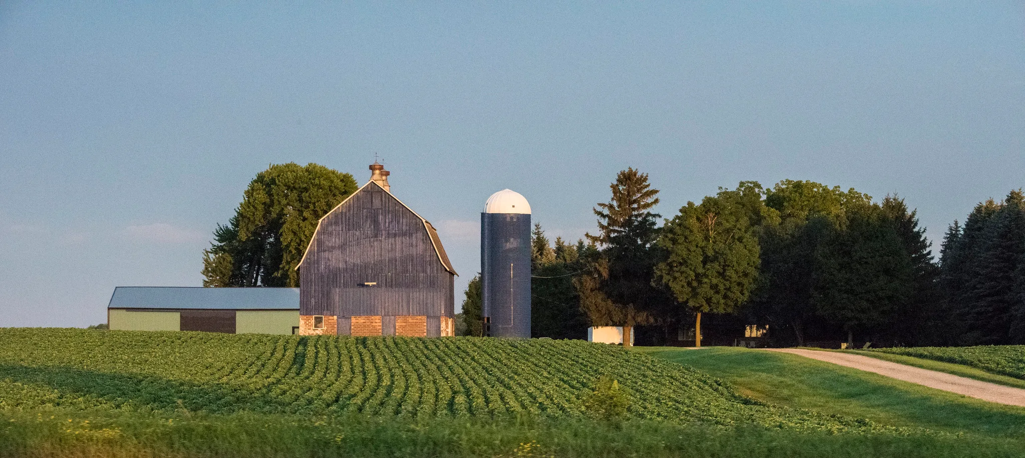 Updated Nebraska land values, cash rents published in report 