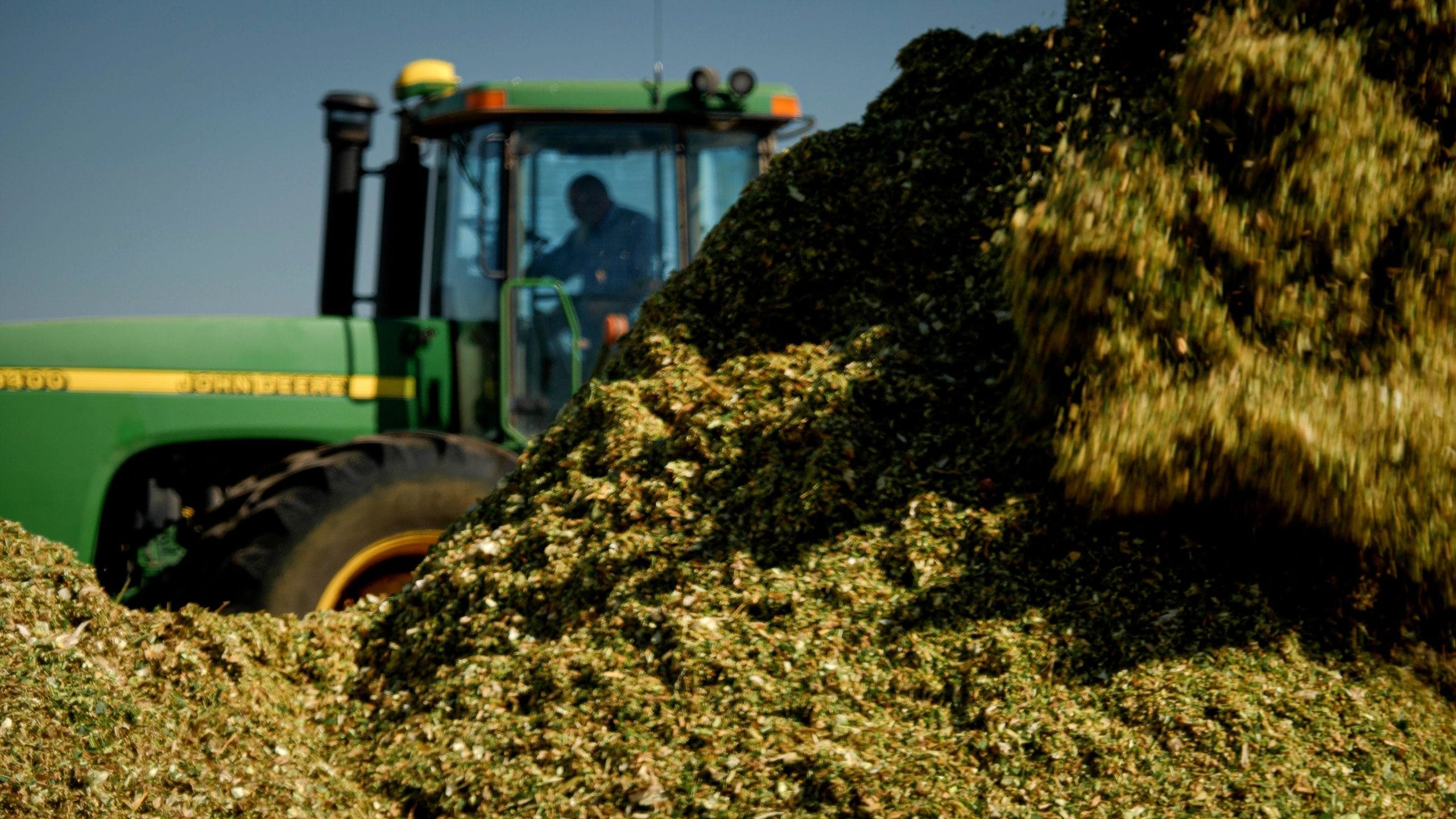 Buying corn silage to feed beef cows in winter