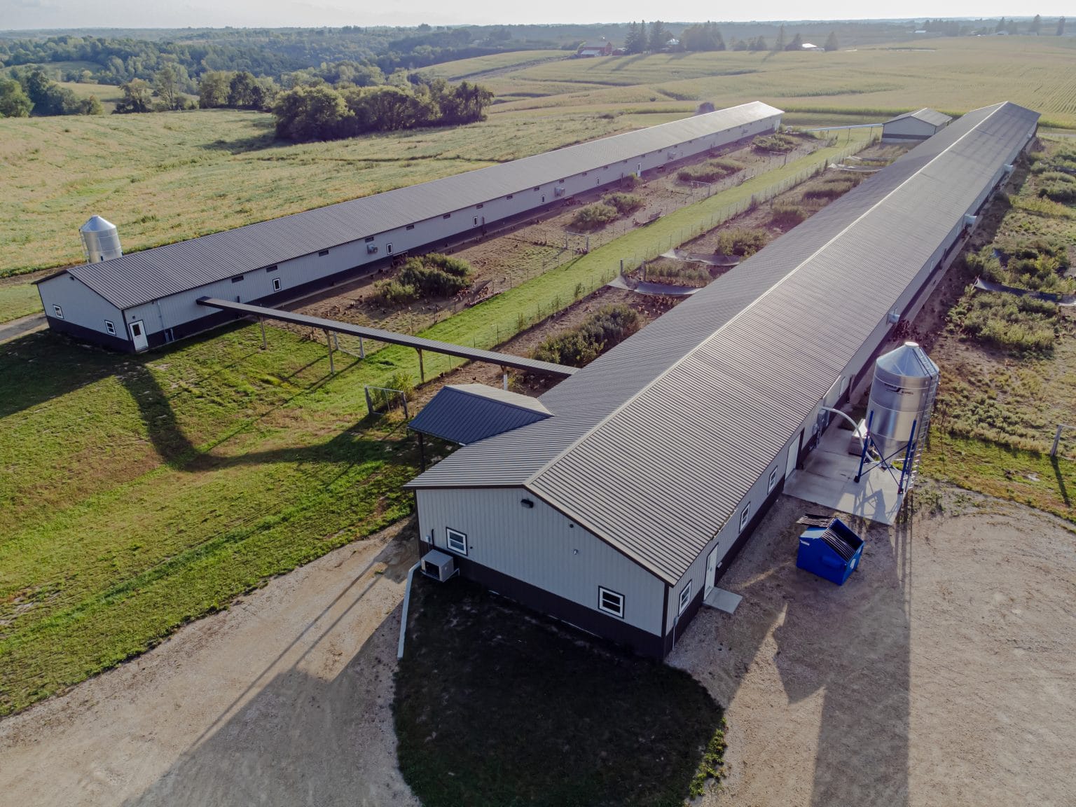 Millenkamp Cattle nears bankruptcy settlement | Western Livestock Journal
