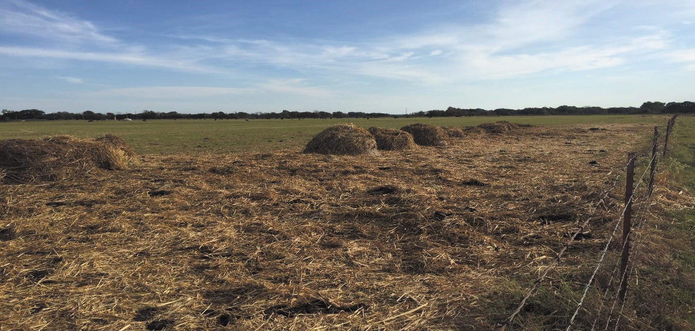 Round bale feeders are worth the investment