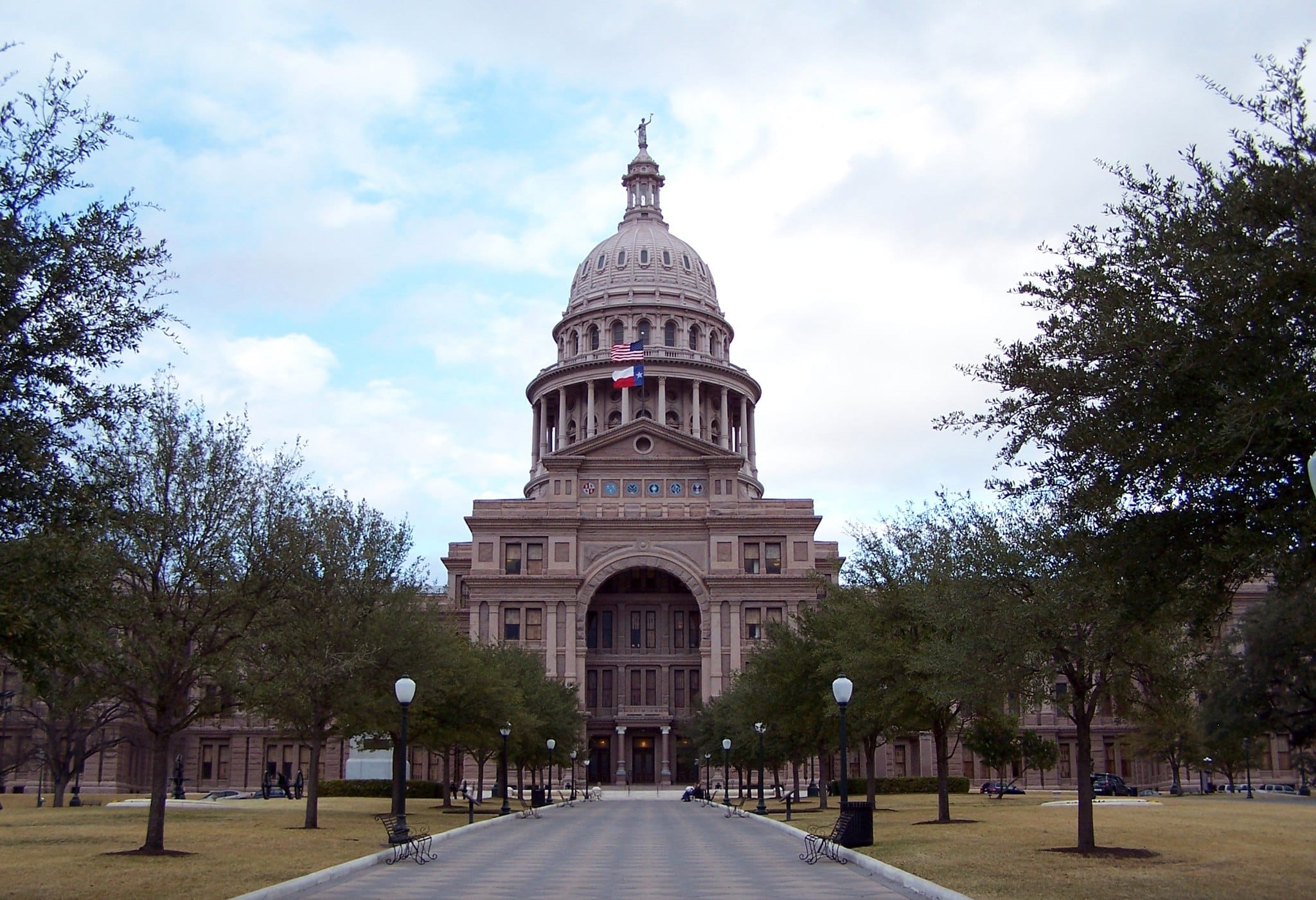 MT policy update: Cattle committee, taxes and wolves 
