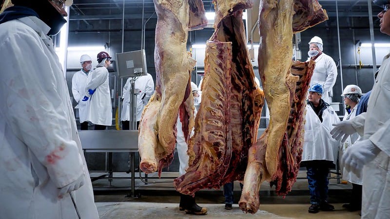 Beef demand disaggregated by product category