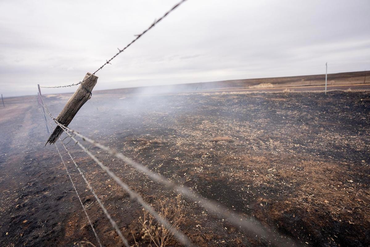 Dry conditions set stage for higher wildfire risk in TX