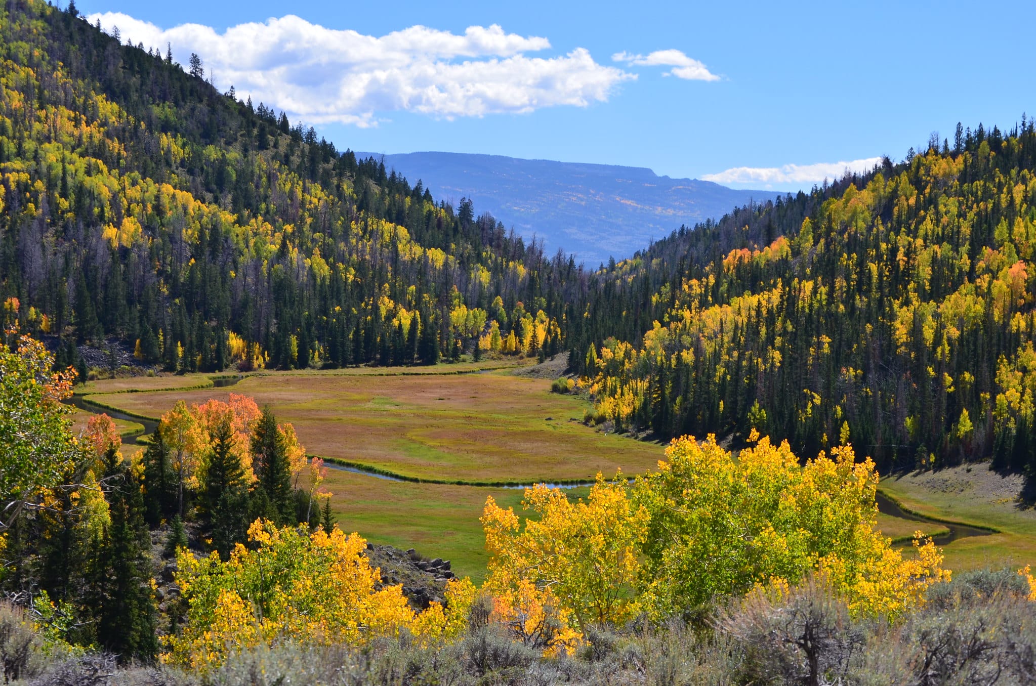 Utah ranchers sue USFS for ‘arbitrary’ grazing rules