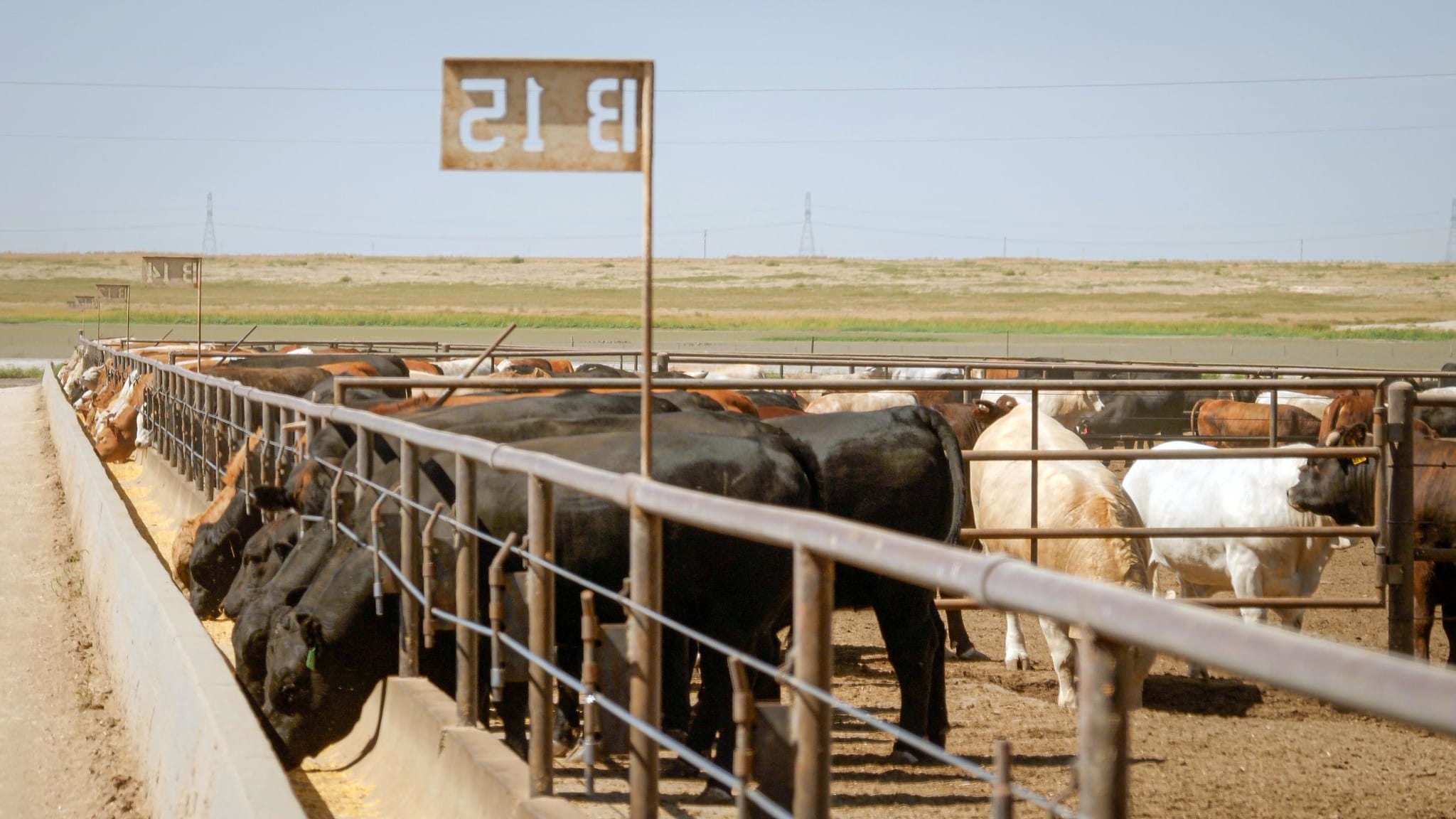 Appeals court ends CAFO lawsuit