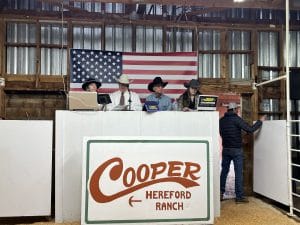 Cooper Hereford Ranch Production Sale Report: Willow Creek, MT (March ...