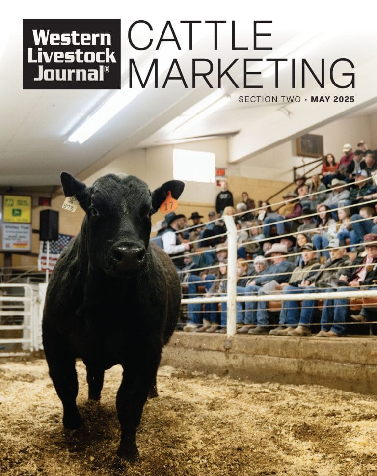 Cattle Marketing 2025 cover, May 12, 2025