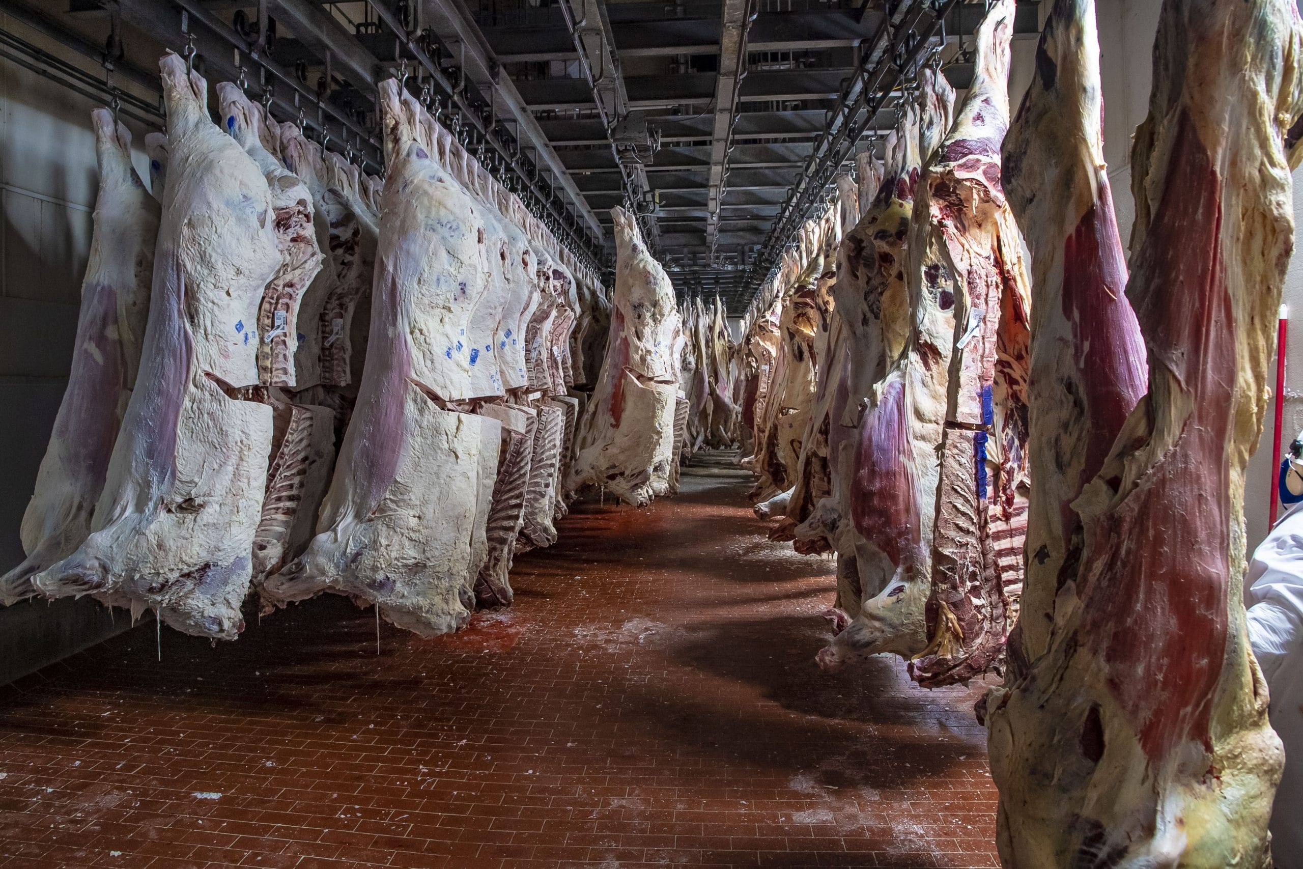 FSIS supports faster meat exports to Mexico