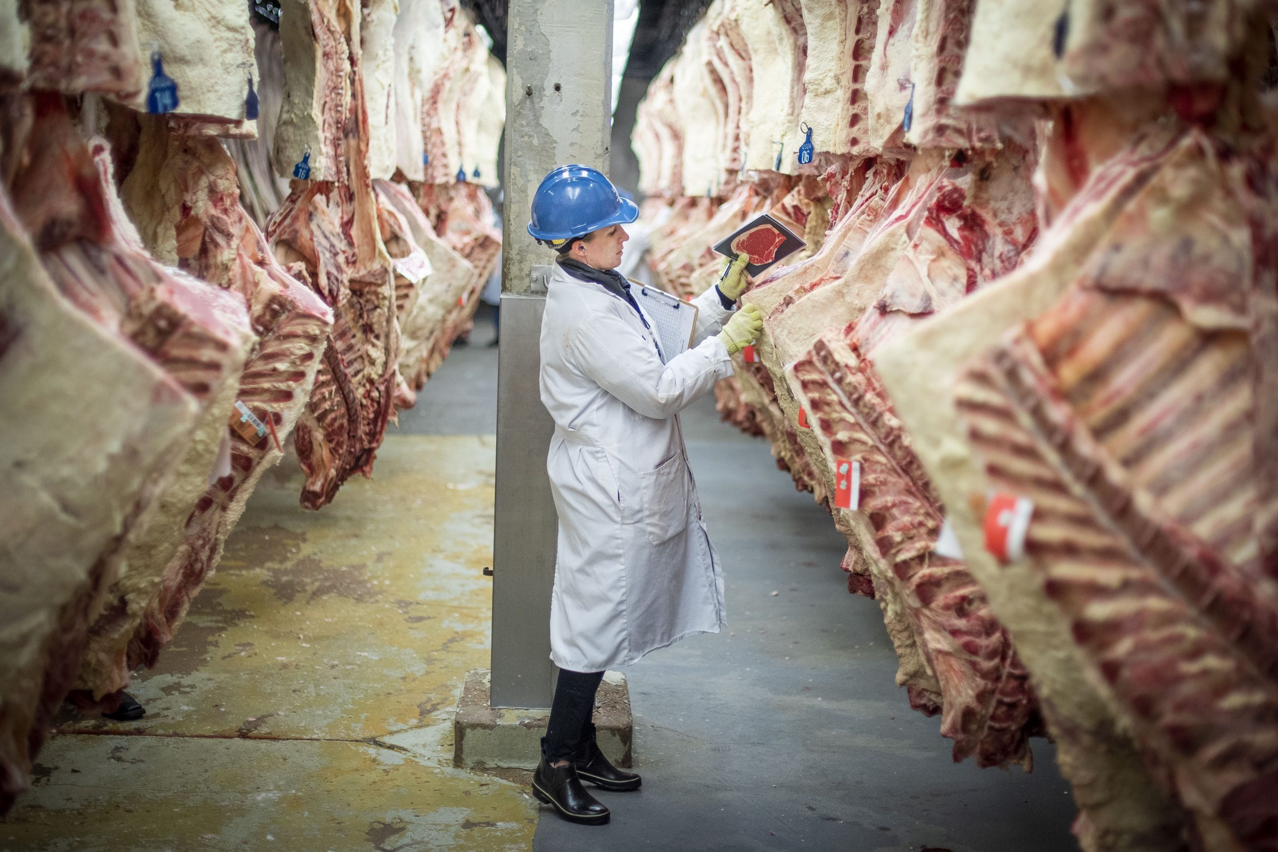 Declining beef production pushes prices higher 