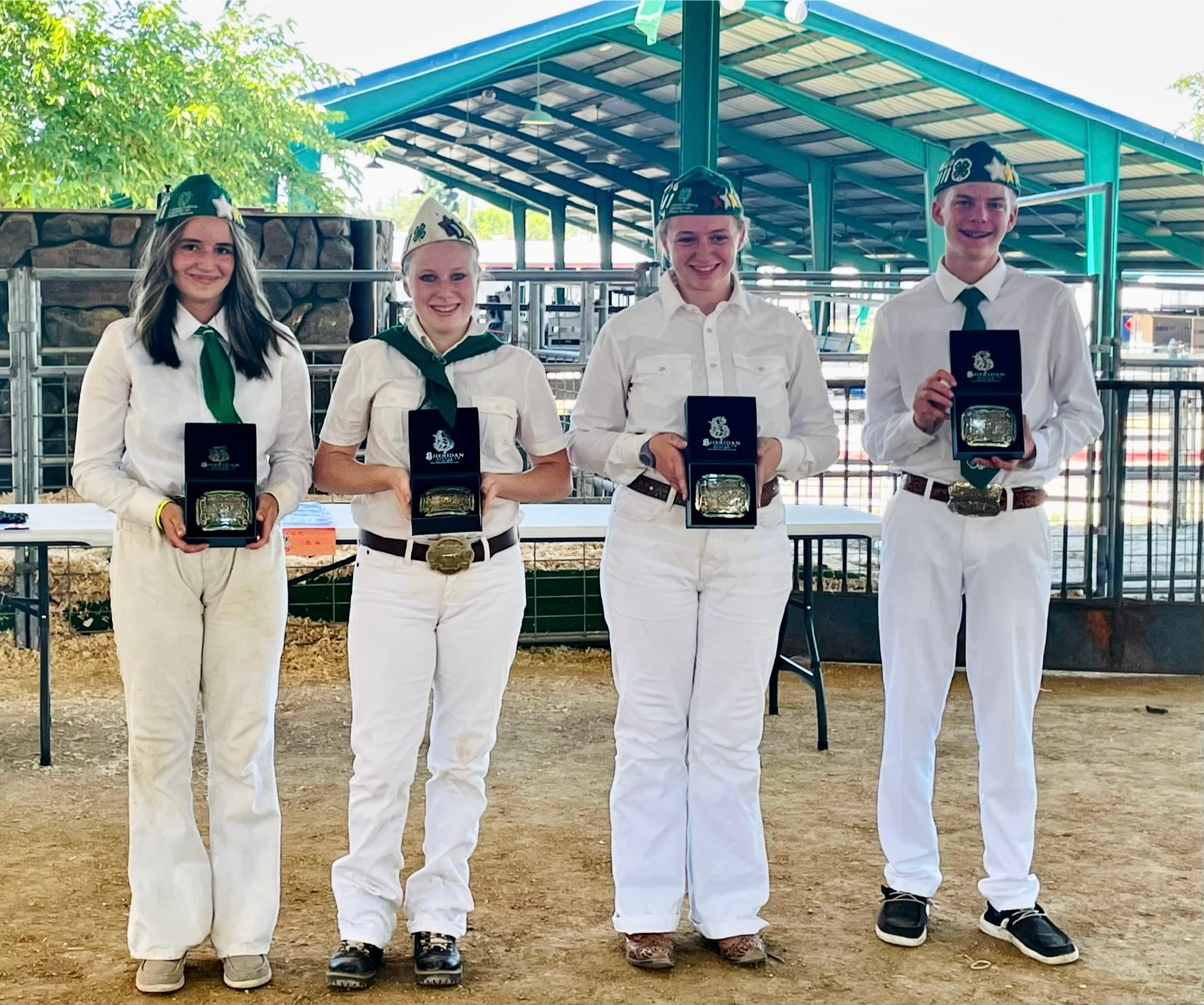 Placer County team demonstrates the value of participating in 4-H 