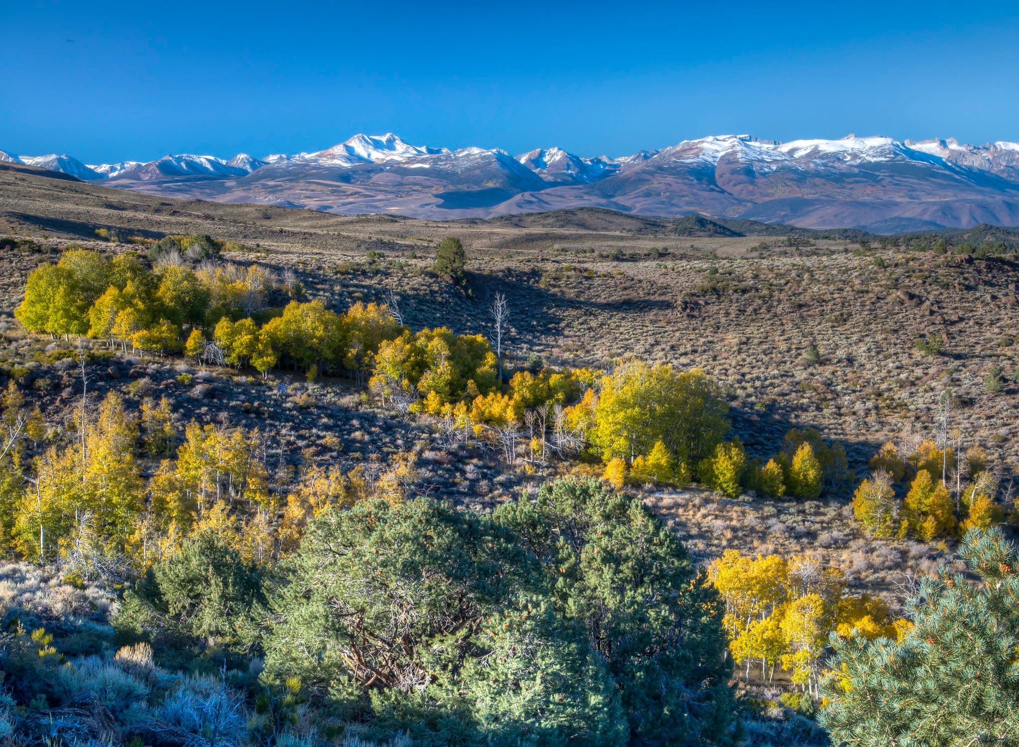 Lawmakers urge Interior to protect Public Lands Rule