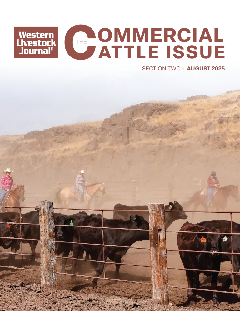 Commercial Cattle Issue – 2025 cover, August 18, 2025