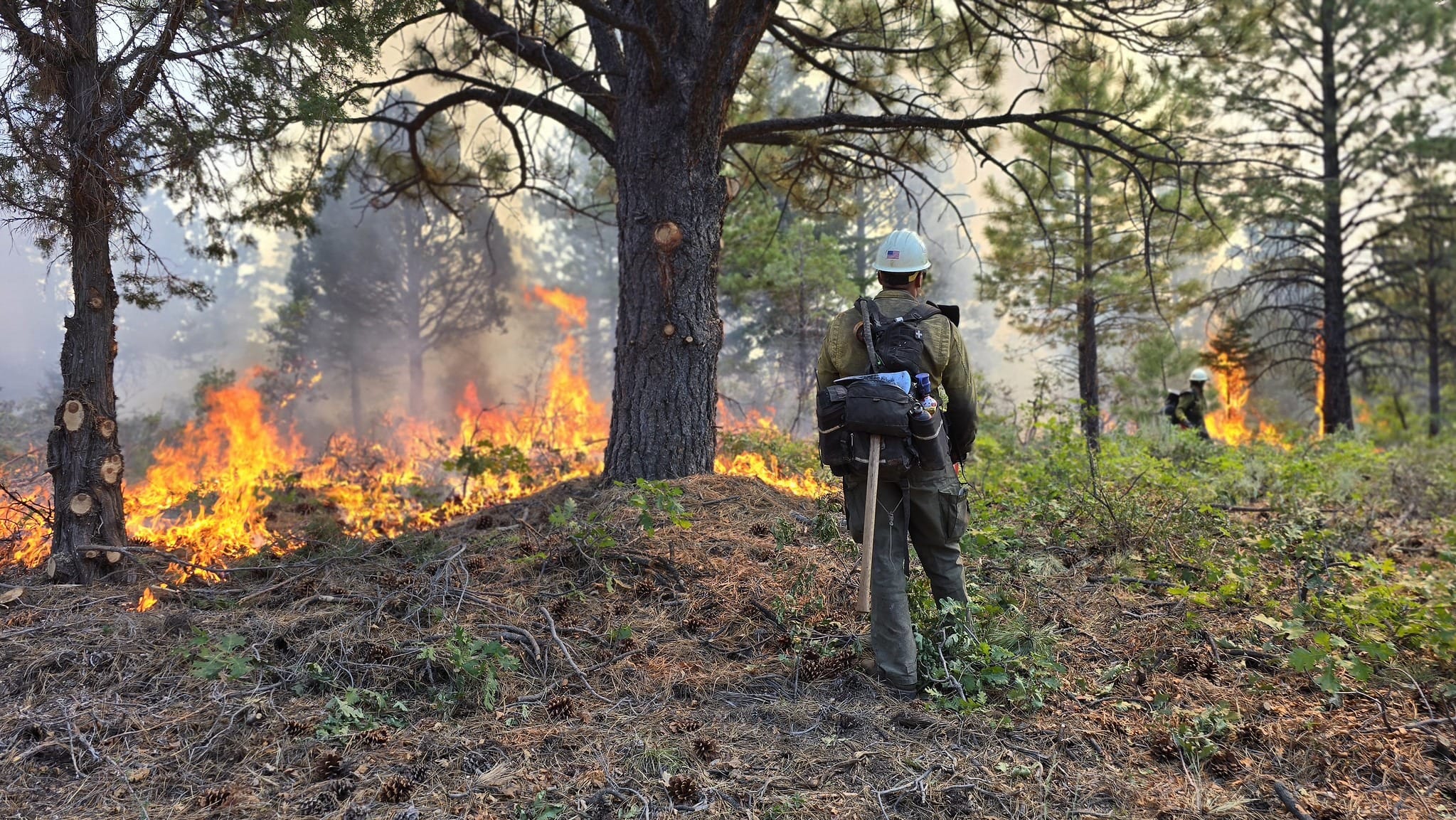 Interior advances plan for unified wildfire service