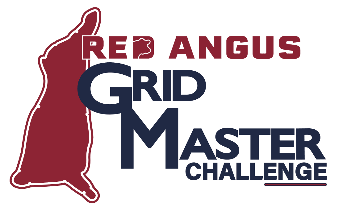 RAAA launches GridMaster Challenge program