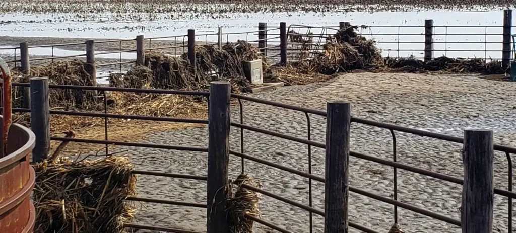 Destruction and mess was left in the wake of receding floodwaters across the Central Plains. Here
