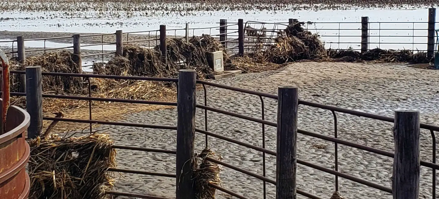 Midwest flooding creates hardship for ranchers, farmers