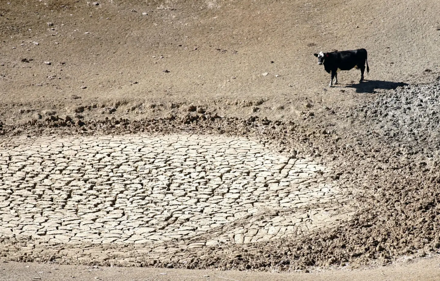 Ranchers with drought plans make some pivotal moves sooner