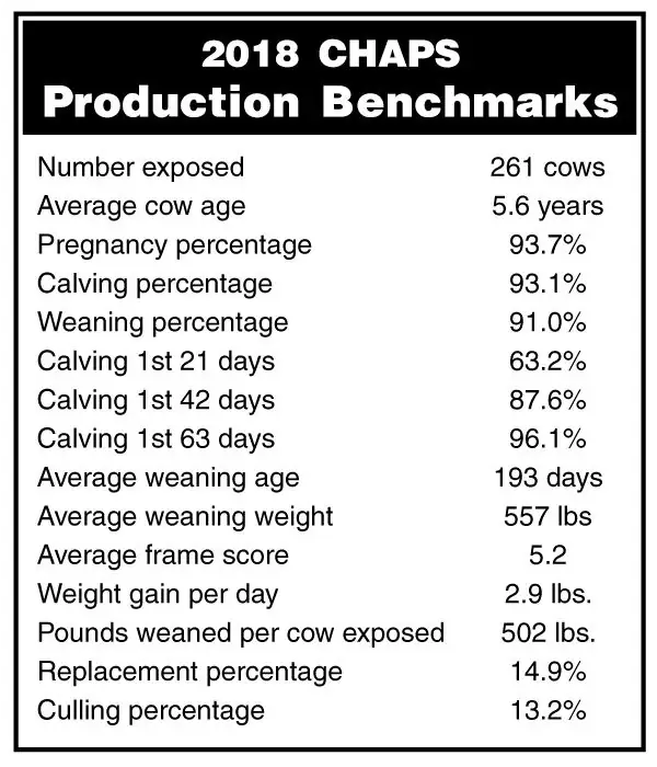 BeefTalk: 2018 cow-calf production benchmarks