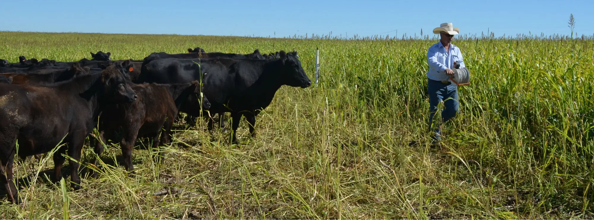 Soil health is the foundation of life