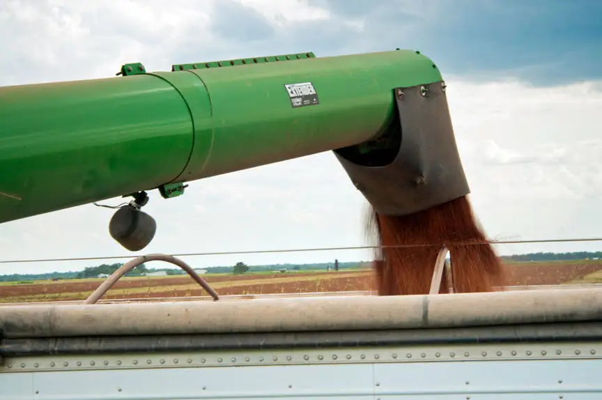 Farm leaders sound alarm over ag losses