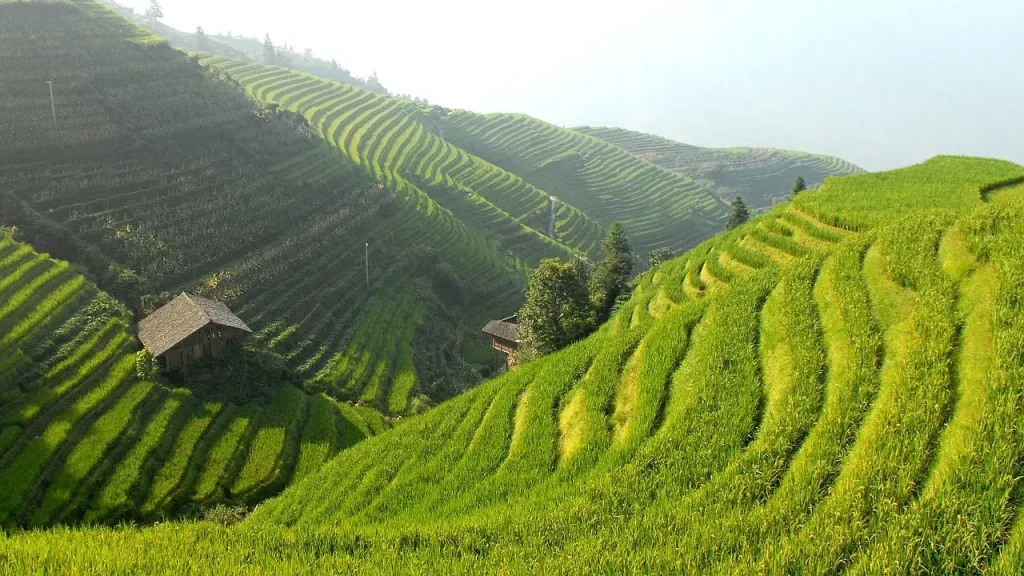 Derrell Peel recently visited China and shares his perspectives on the experience. Top among his observations is that China is big and growing quickly.