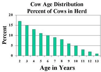 Evaluating how many replacement heifers to keep