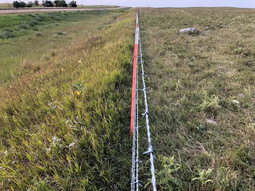 This pasture has been grazed without negatively affecting forage production.