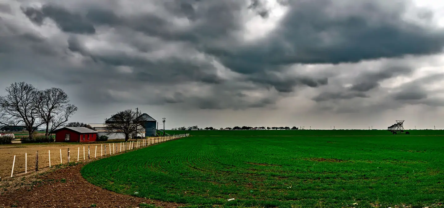 Agricultural producers should do tax planning before the end of the year based on the current law
