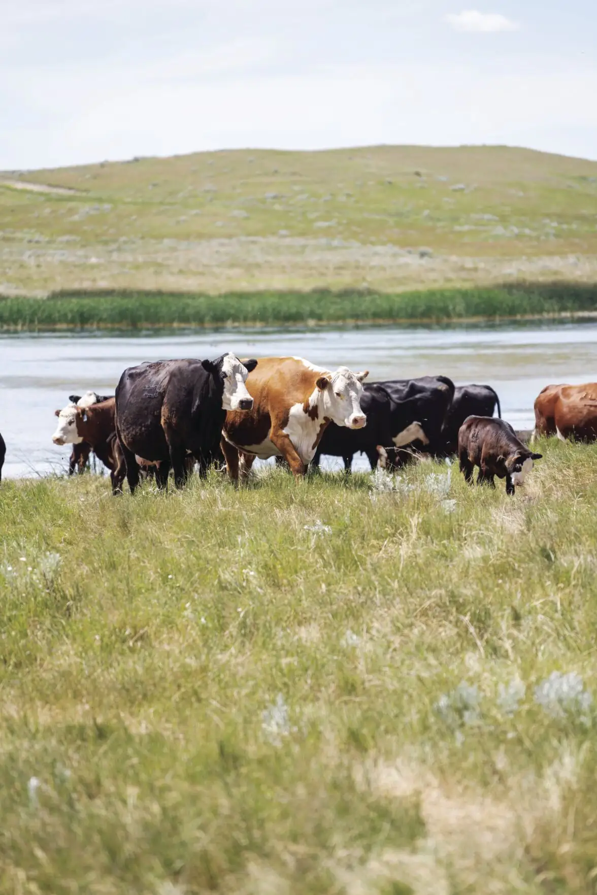 Biden proposes methane emission regulations