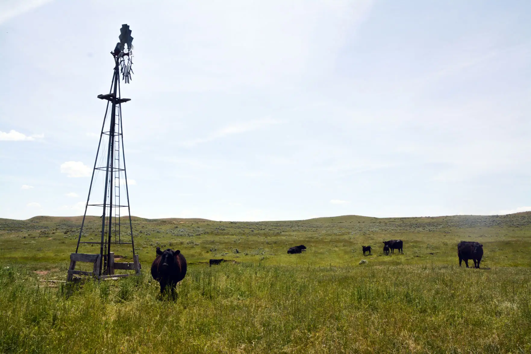 On Target: Balance vs. the trade-off