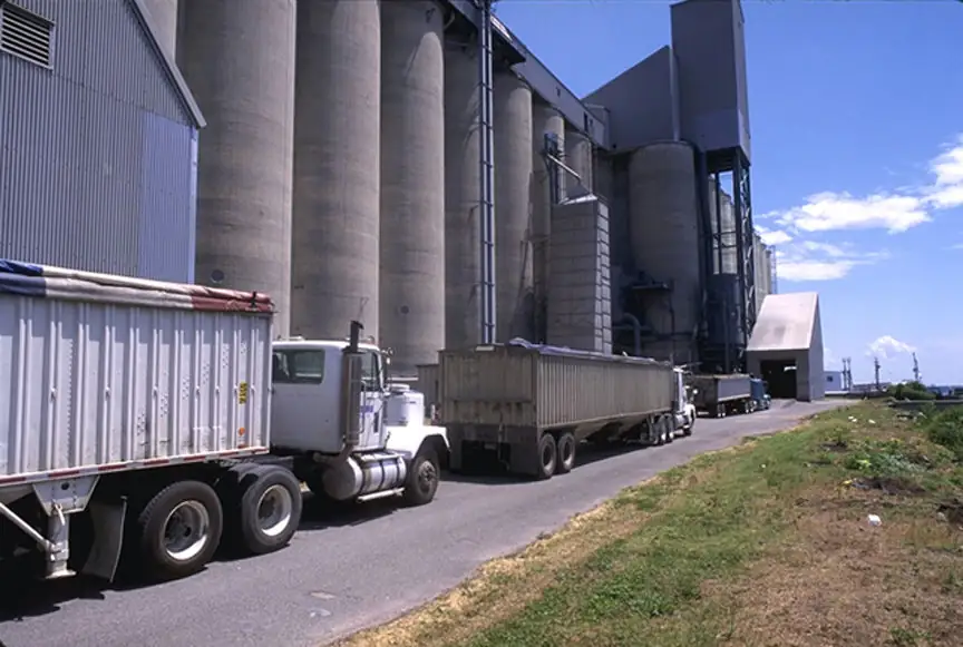 A provision in the new tax law could end up causing farmers to deliver their grain and other commodities largely to cooperatives at the expense of private grain companies.