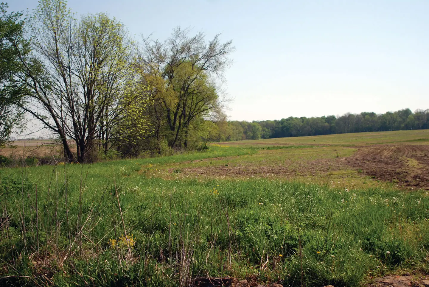 Conservation reform plans introduced