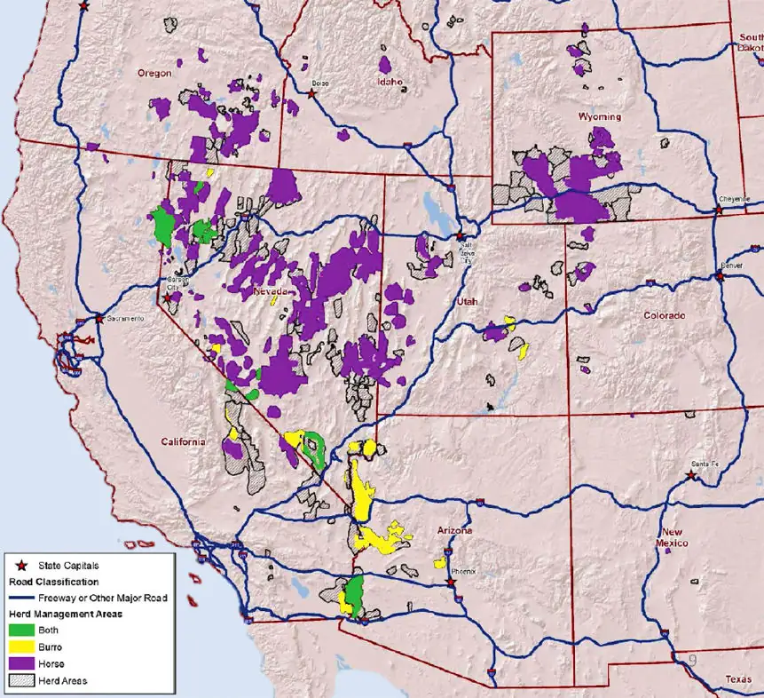 Wild horse advisory board makes recommendations