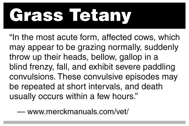 Balanced mineral supplements are necessary to prevent grass tetany